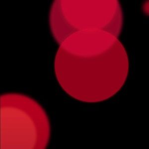 Meet your Posher, Shayna